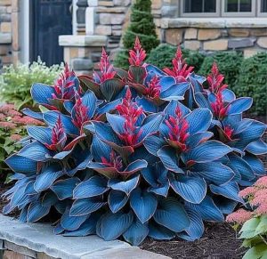 Хоста Грин Фог купить по цене от 669р. в интернет-магазине «Посадика» с доставкой почтой в в Звенигороде и по всей России – [изображение №1].