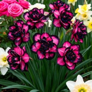 Нарцисс Золотая Корона купить по цене от 2000р. в интернет-магазине «Посадика» с доставкой почтой в в Звенигороде и по всей России – [изображение №1].