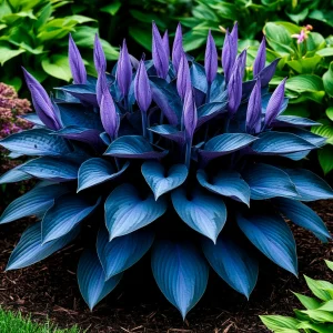 Хоста Сикрет Гров купить по цене от 570р. в интернет-магазине «Посадика» с доставкой почтой в в Звенигороде и по всей России – [изображение №1].