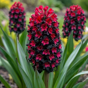 Гиацинт Джем Стоун купить по цене от 2099р. в интернет-магазине «Посадика» с доставкой почтой в в Звенигороде и по всей России – [изображение №1].