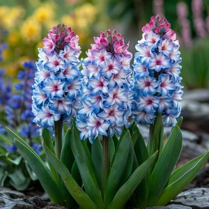 Гиацинт Пинк Мари купить по цене от 2099р. в интернет-магазине «Посадика» с доставкой почтой в в Звенигороде и по всей России – [изображение №1].