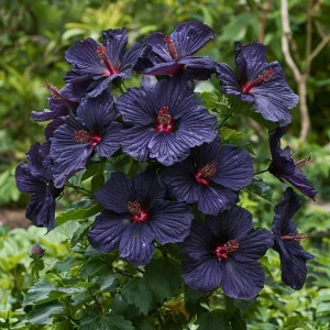 Гибискус Мэджик Момент купить по цене от 699р. в интернет-магазине «Посадика» с доставкой почтой в в Звенигороде и по всей России – [изображение №1].