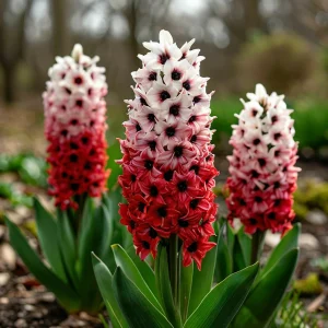 Гиацинт Скай Гарден купить по цене от 2099р. в интернет-магазине «Посадика» с доставкой почтой в в Звенигороде и по всей России – [изображение №1].