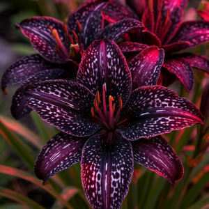 Лилейник Вояж купить по цене от 699р. в интернет-магазине «Посадика» с доставкой почтой в в Звенигороде и по всей России – [изображение №1].